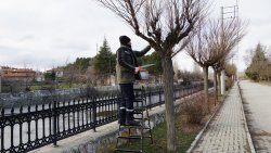 ŞUHUT İÇİN DURMADAN ÇALIŞIYORUZ