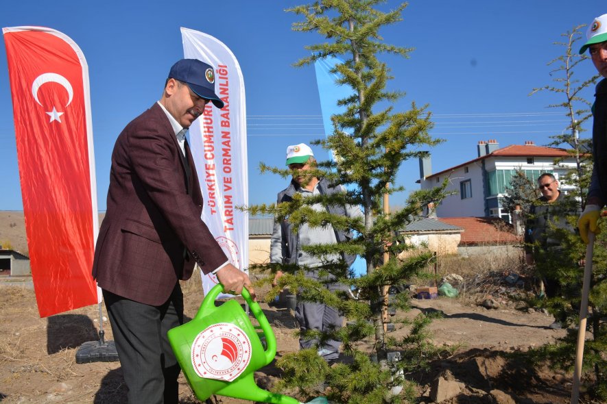 11 Kasım Milli Ağaçlandırma Günü