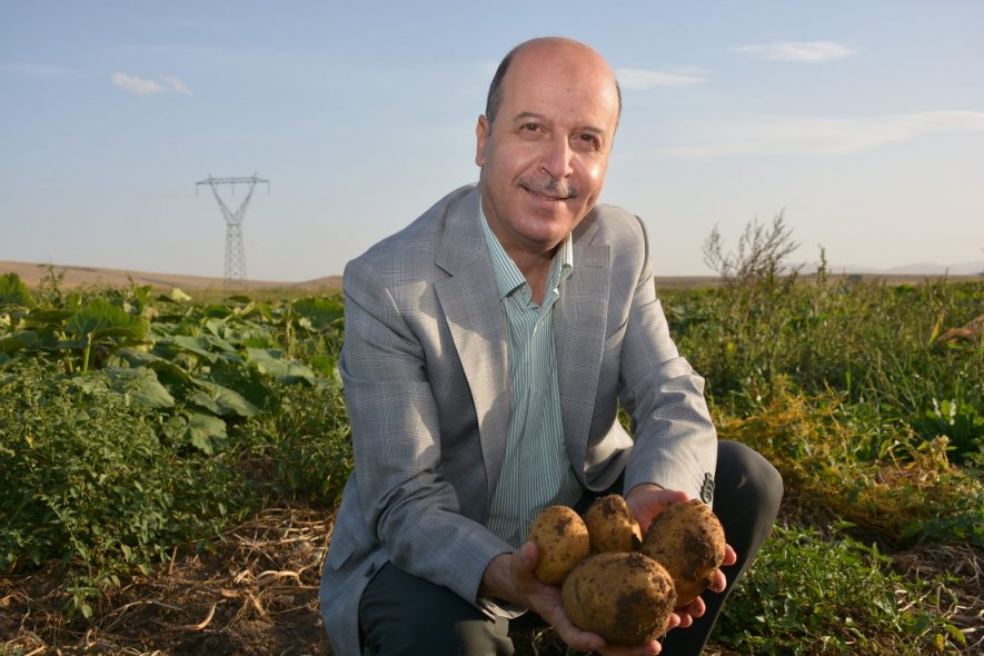 Şuhut Patatesi Tescillendi