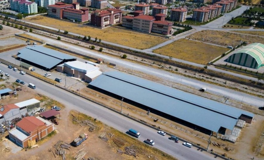 Şuhut Canlı Hayvan Borsası 4 Gün Boyunca Açık.