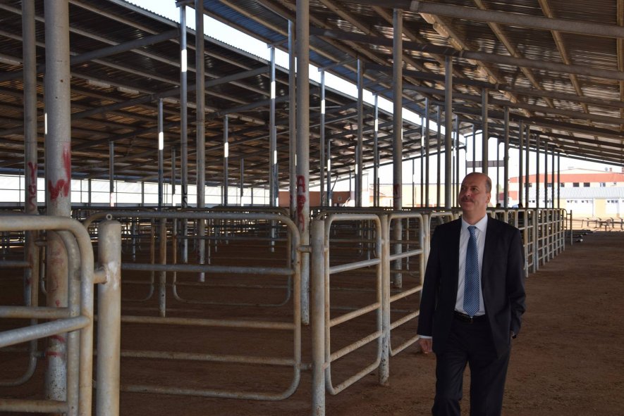 Şuhut Belediyesi Canlı Hayvan Pazarı Açılıyor.