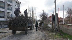 ŞUHUT’TA AĞAÇ BUDAMA ÇALIŞMALARI DEVAM EDİYOR