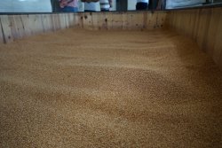 Başkan Bozkurt Şuhut Organize Sanayi Bölgesini Ziyaret Etti.