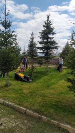 İlçemiz geneli çim biçme ve bakım onarım çalışmalarımız devam ediyor