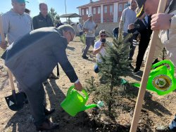 11 KASIM MİLLİ AĞAÇLANDIRMA GÜNÜ’NDE FİDANLAR TOPRAKLA BULUŞTU