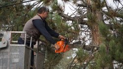 KALDIRIMLARIMIZ DÜZENLİ VE YÜRÜYÜŞLER DAHA RAHAT