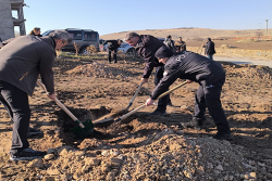 ŞUHUT’TA AĞAÇLAR TOPRAKLA BULUŞTU