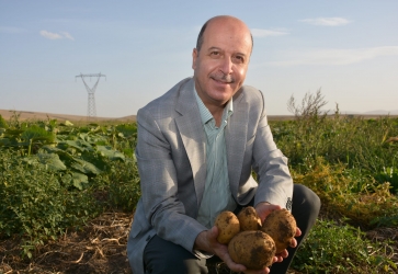 Şuhut Patatesi Tescillendi