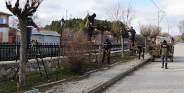 ŞUHUT İÇİN DURMADAN ÇALIŞIYORUZ