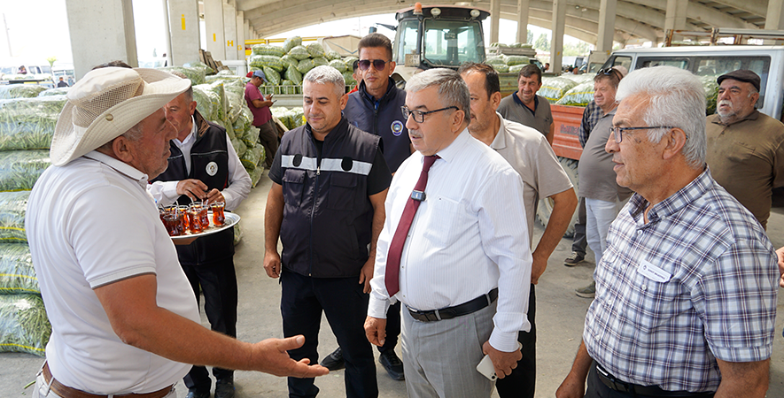 ŞUHUT’TA GÜNLÜK 500 TON TAZE FASULYE SEVKİYATI